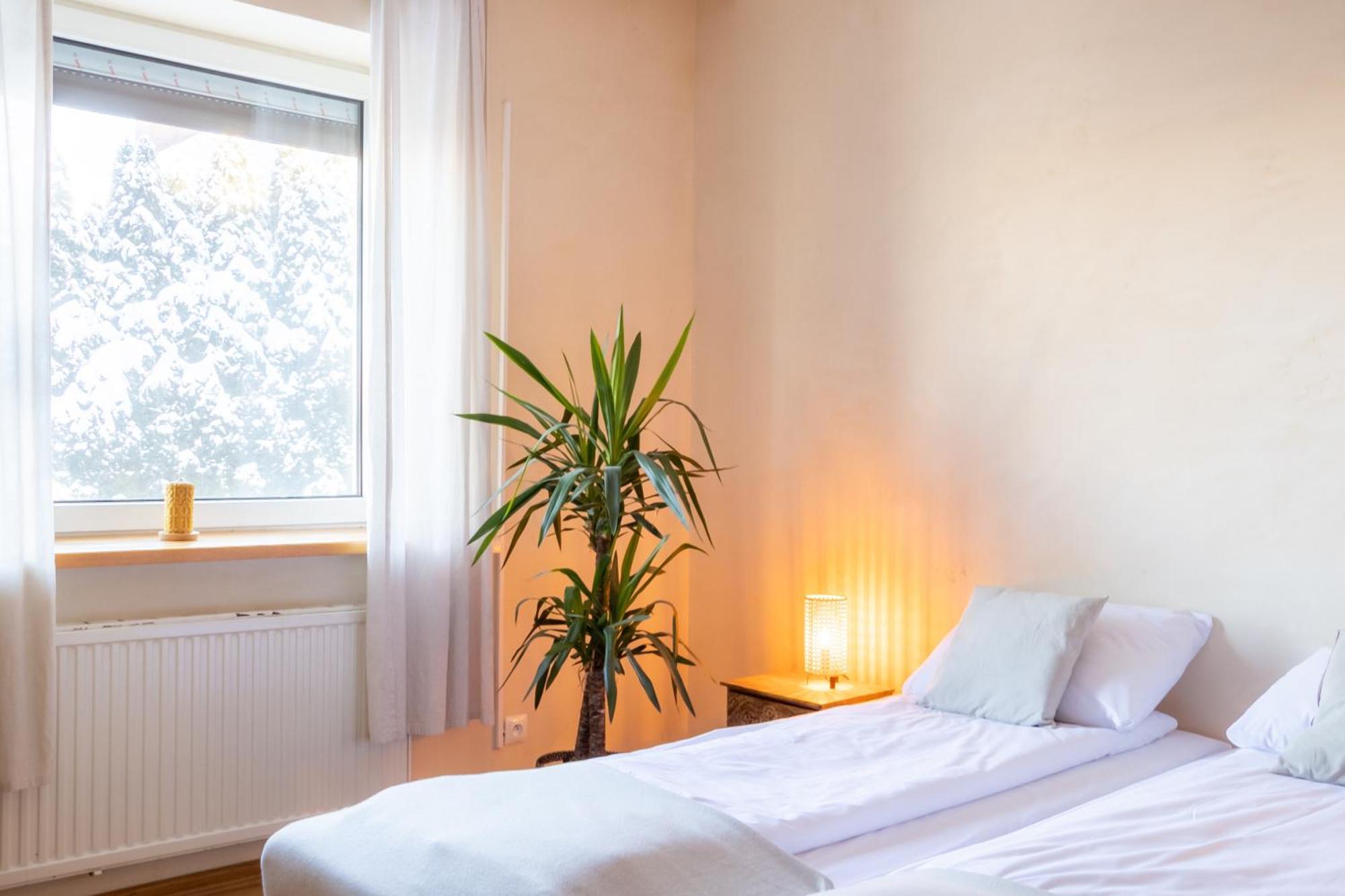 Blisshouse Luxurious Guesthouse Calm And Energetic Spot Near By City Surrounded By The Forest Where You Will Find Your Peace And Your People — Zdjęcia 2